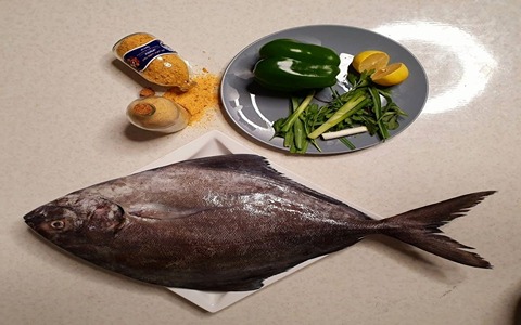 قیمت ماهی حلوا سیاه جنوب با کفیت ارزان + خرید عمده